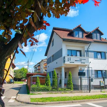 Vila Roza Sighetu Marmaţiei Εξωτερικό φωτογραφία