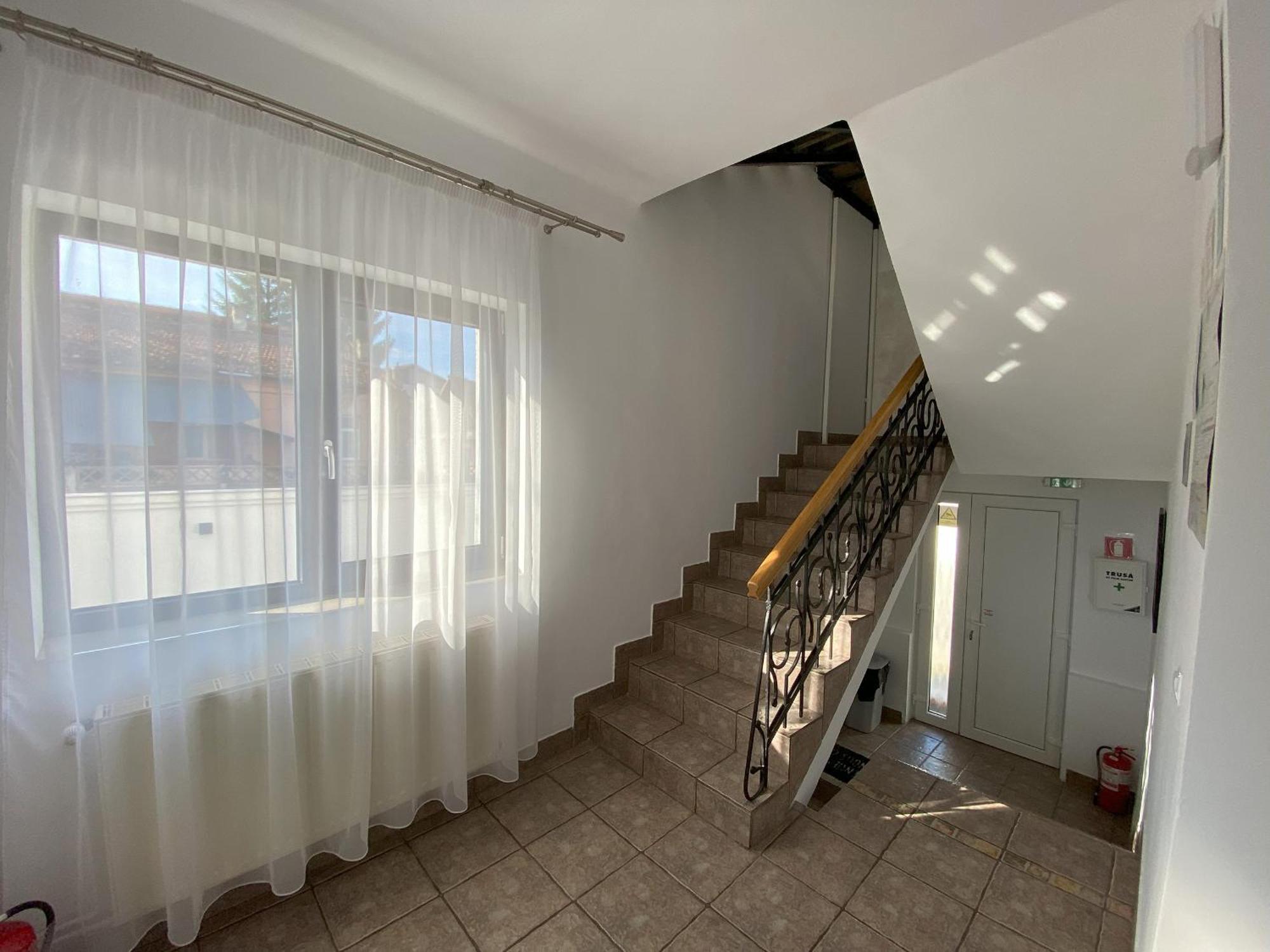 Vila Roza Sighetu Marmaţiei Εξωτερικό φωτογραφία