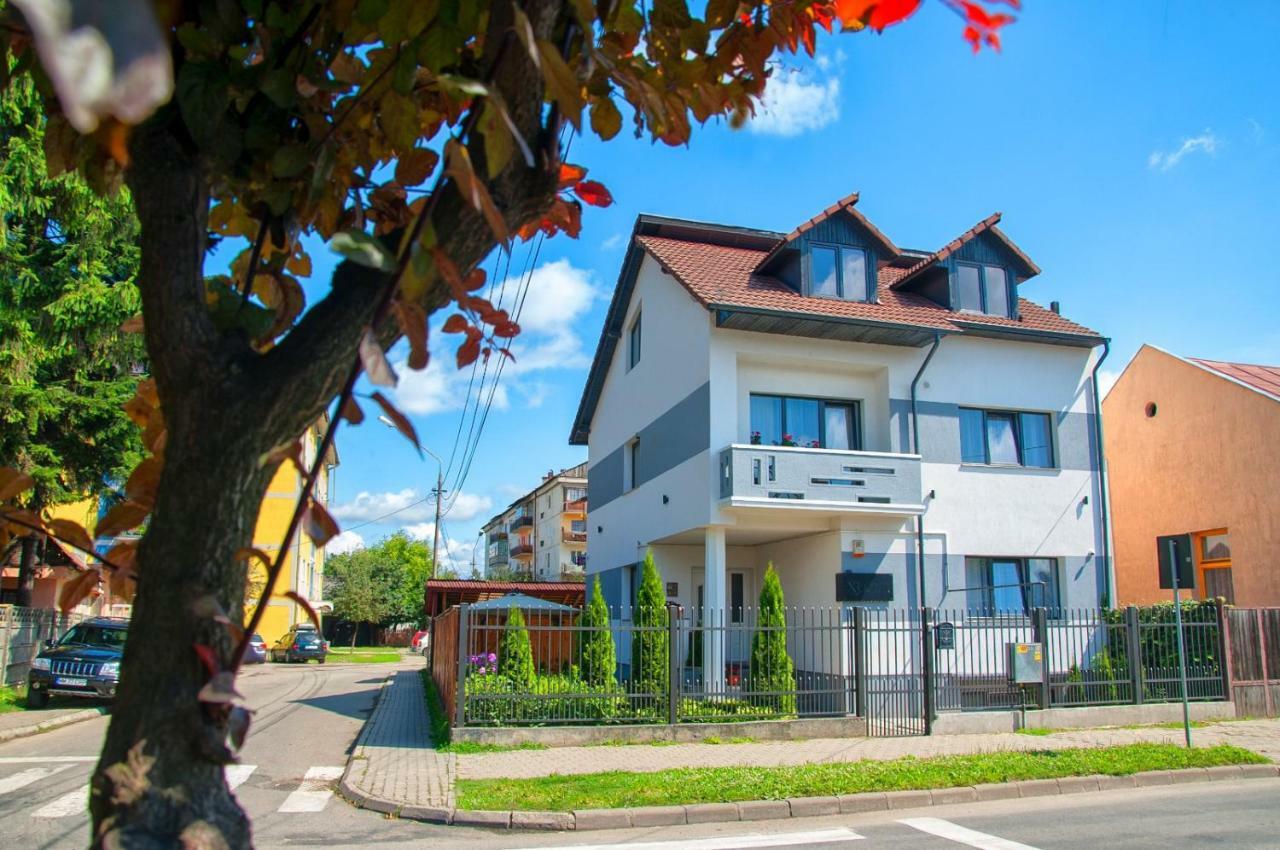 Vila Roza Sighetu Marmaţiei Εξωτερικό φωτογραφία